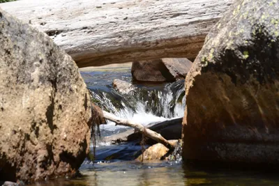 DSC_3711 (Large).JPG